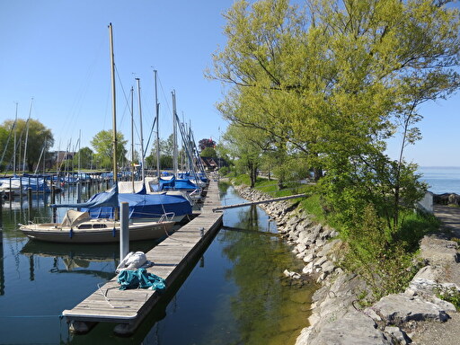 Hafen Rietli