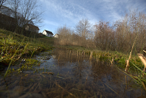 Bild Biotop Schuppis