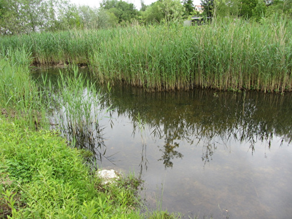 Biotop Schuppis
