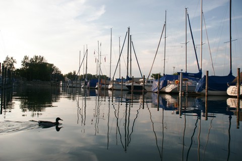 Goldacher Hafen