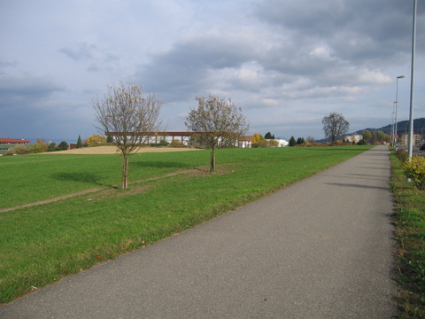 Der Frohheimweg zweigt von der Sulzstrasse ab.