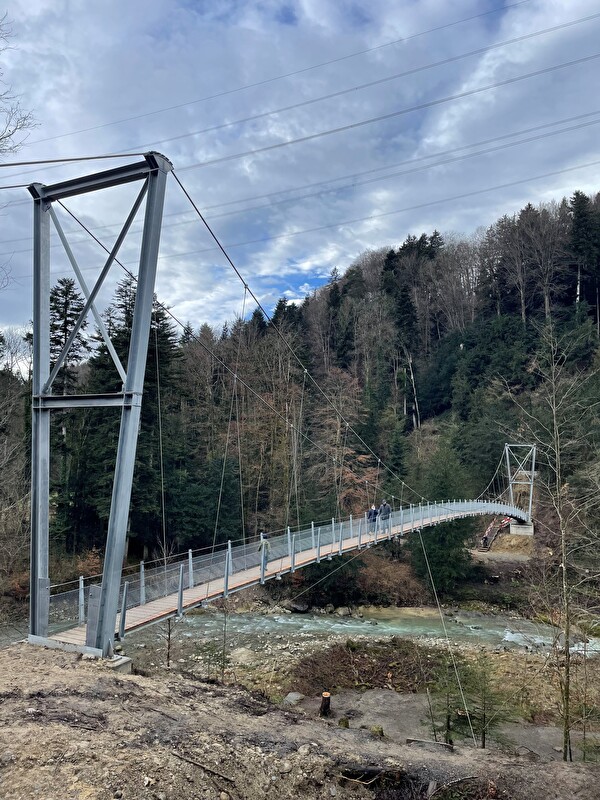 Hängebrücke Goldach