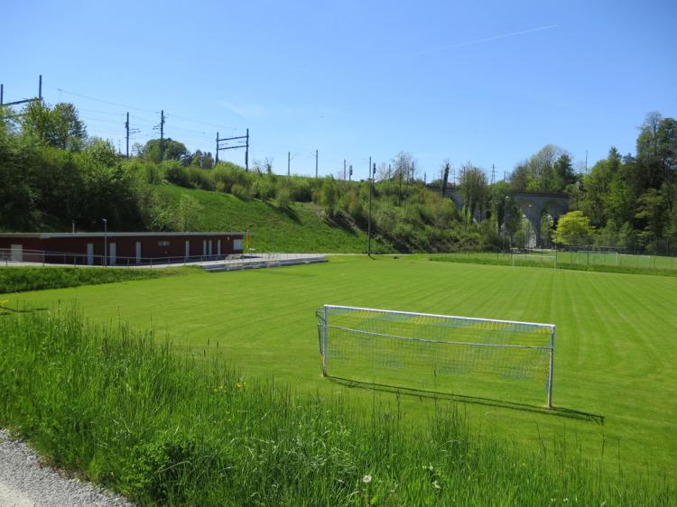 Hauptspielfeld
