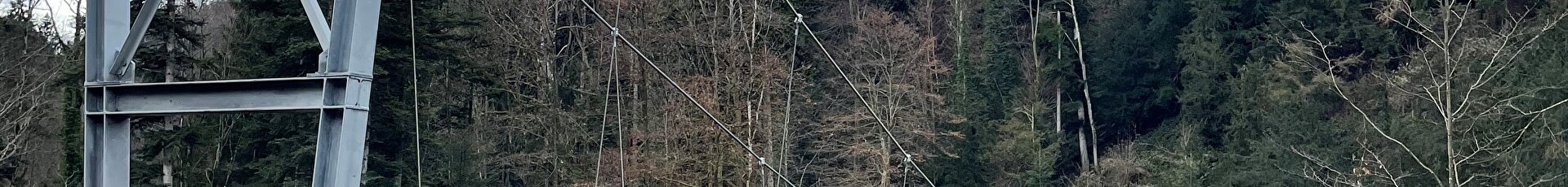 Hängebrücke Goldach