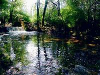 Ein idyllischer Ort lädt zum ruhigen Verweilen ein.