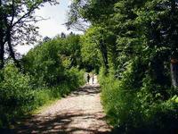 Der Suhrerchopf ragt weit übers Dorf hinaus. Spazierwege führen Sie zu diesem Aussichtspunkt, welcher weite Sicht talauf- und abwärts zu bieten hat und sie Natur pur in Suhr geniessen lässt!