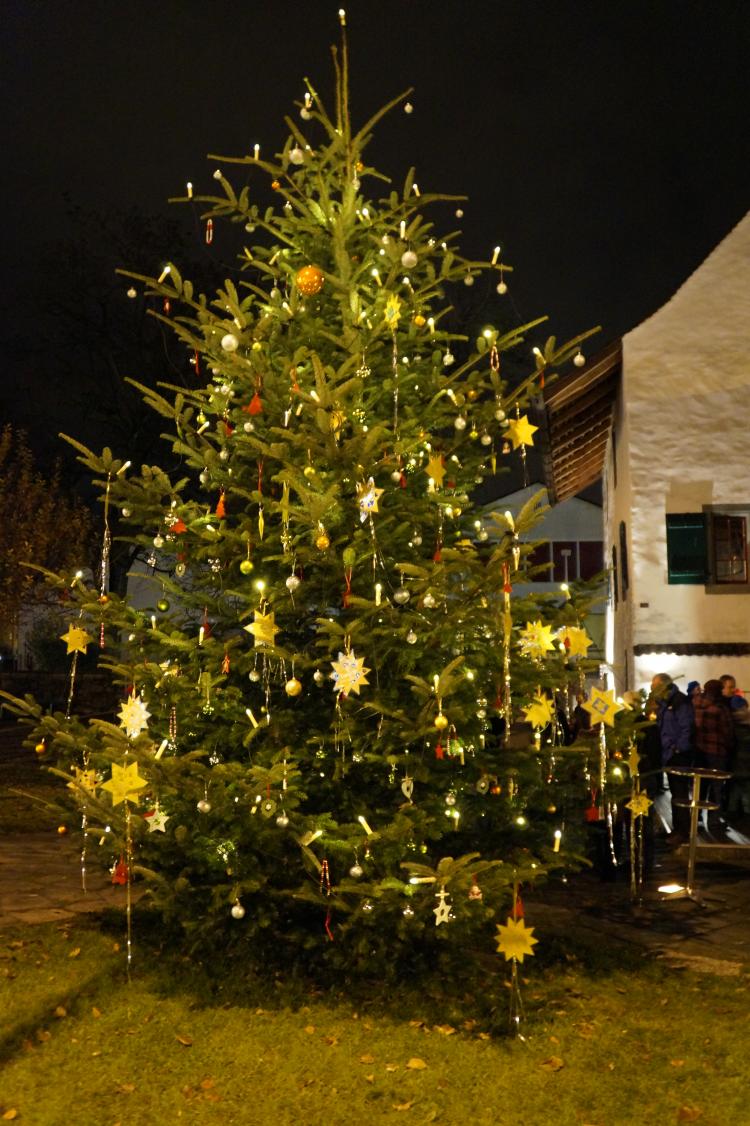 Ortsmuseum, Tramstrasse; Tannenbaum geschmückt  von den Kindergärtlern vom Schützenweg