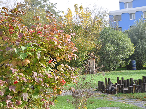 Naturnahe Umgebung 2019