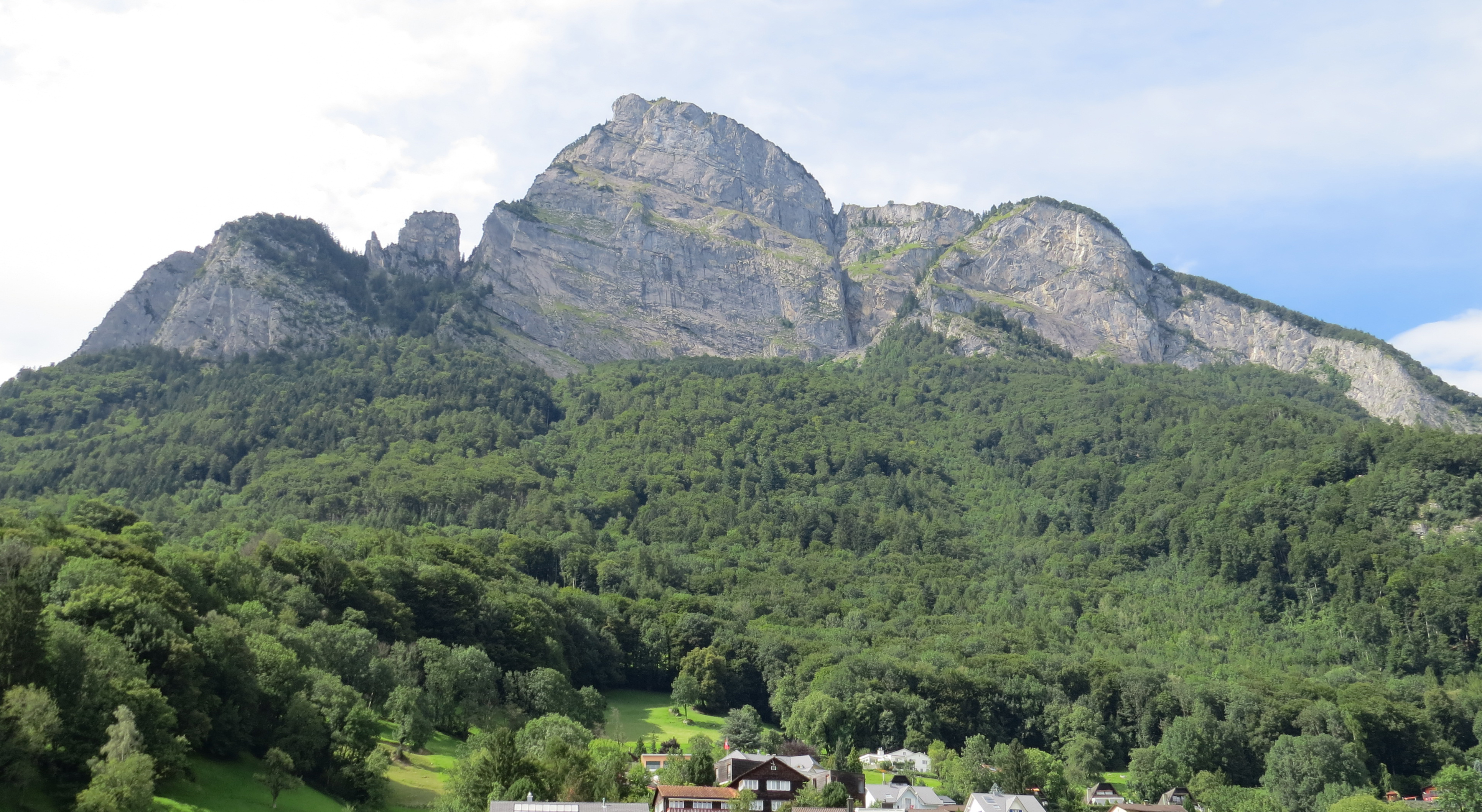 um 2020: Gonzen und Gonzenwald