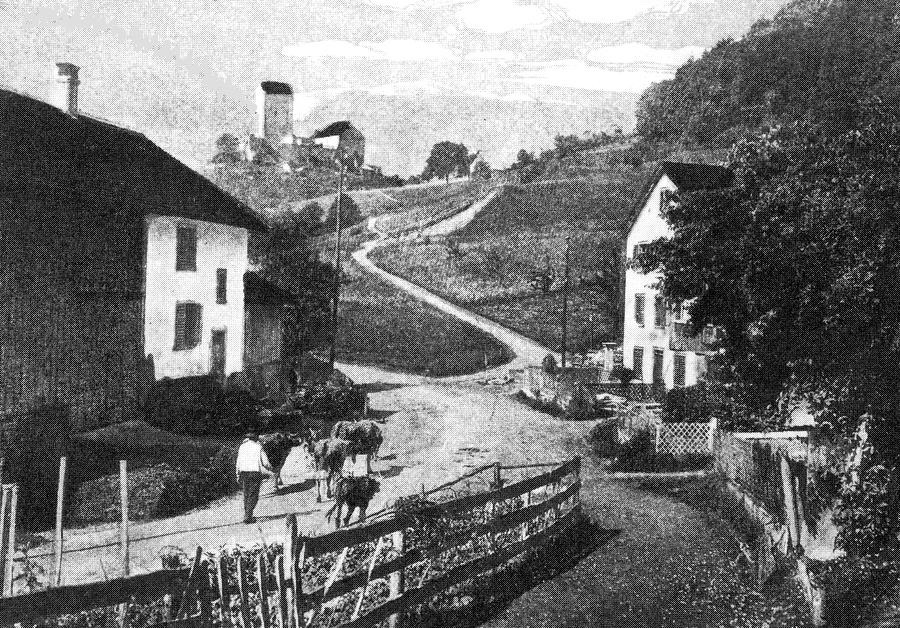 Malerva um 1870 - Malerva bedeutet "schlechte Erde". Zu alten Zeiten gab der Boden praktisch nichts her - alles Sumpf