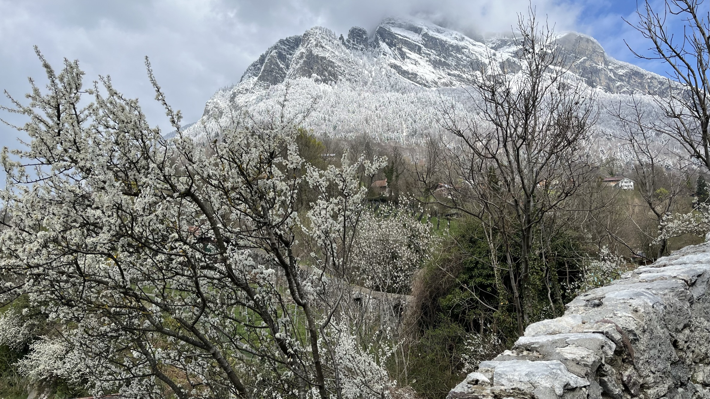 Eigentlich wollte es jetzt Frühling werden.
