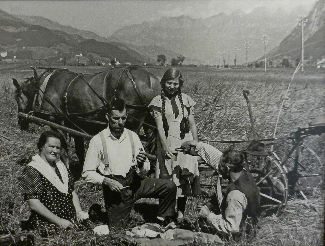 Grossfeld um 1920: Im Laufe des 20. Jh. siedelten immer mehr Bauern hinaus in die Rheinebene.