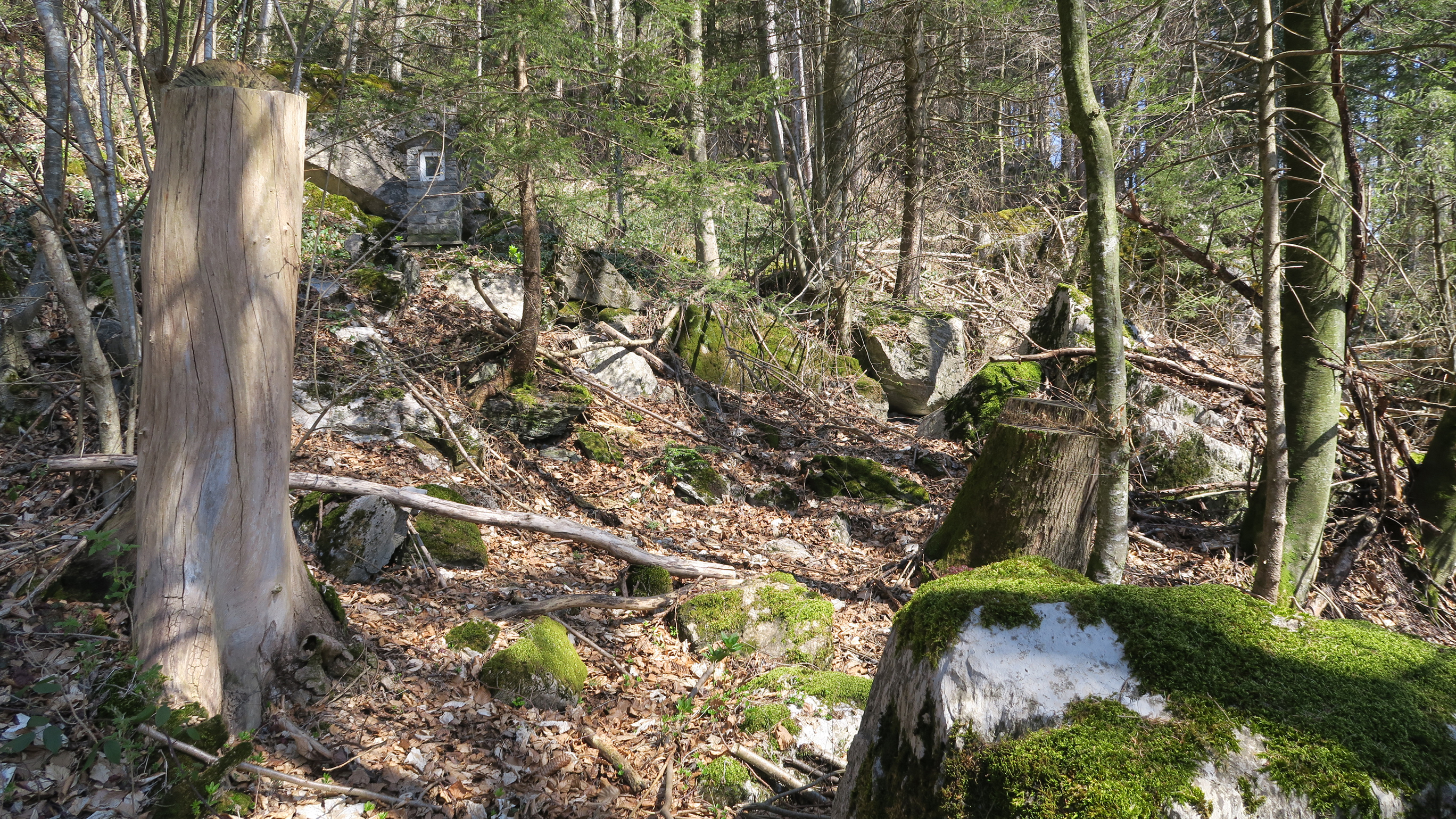 Über einen liebevoll angelegten und gleichzeitig wilden Kreuzweg gelangt man zur Kapelle.
