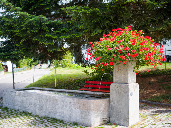 Dorfbrunnen