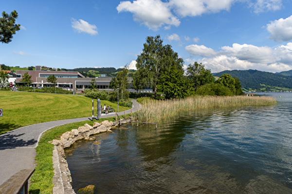 Ufer Ägerisee
