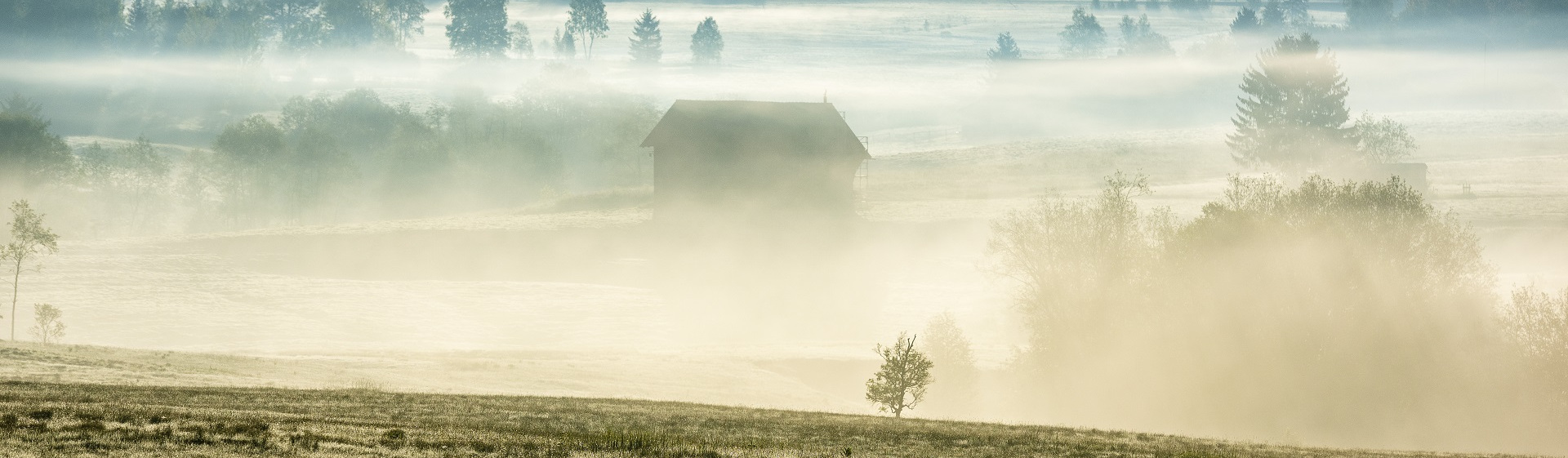 Landschaft mit Nebelschwaden