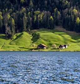Bergmatt Seeufer