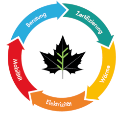 web Pfeilkreis 2023_50Prozent