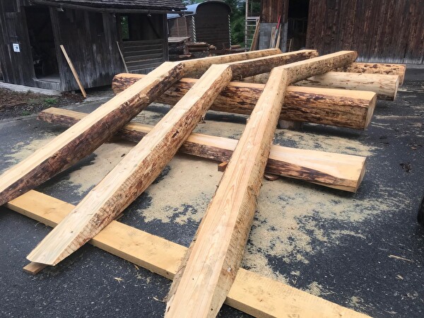 holzstämme