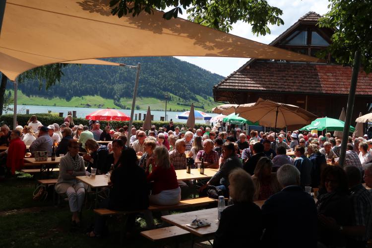 Sommermusik am See