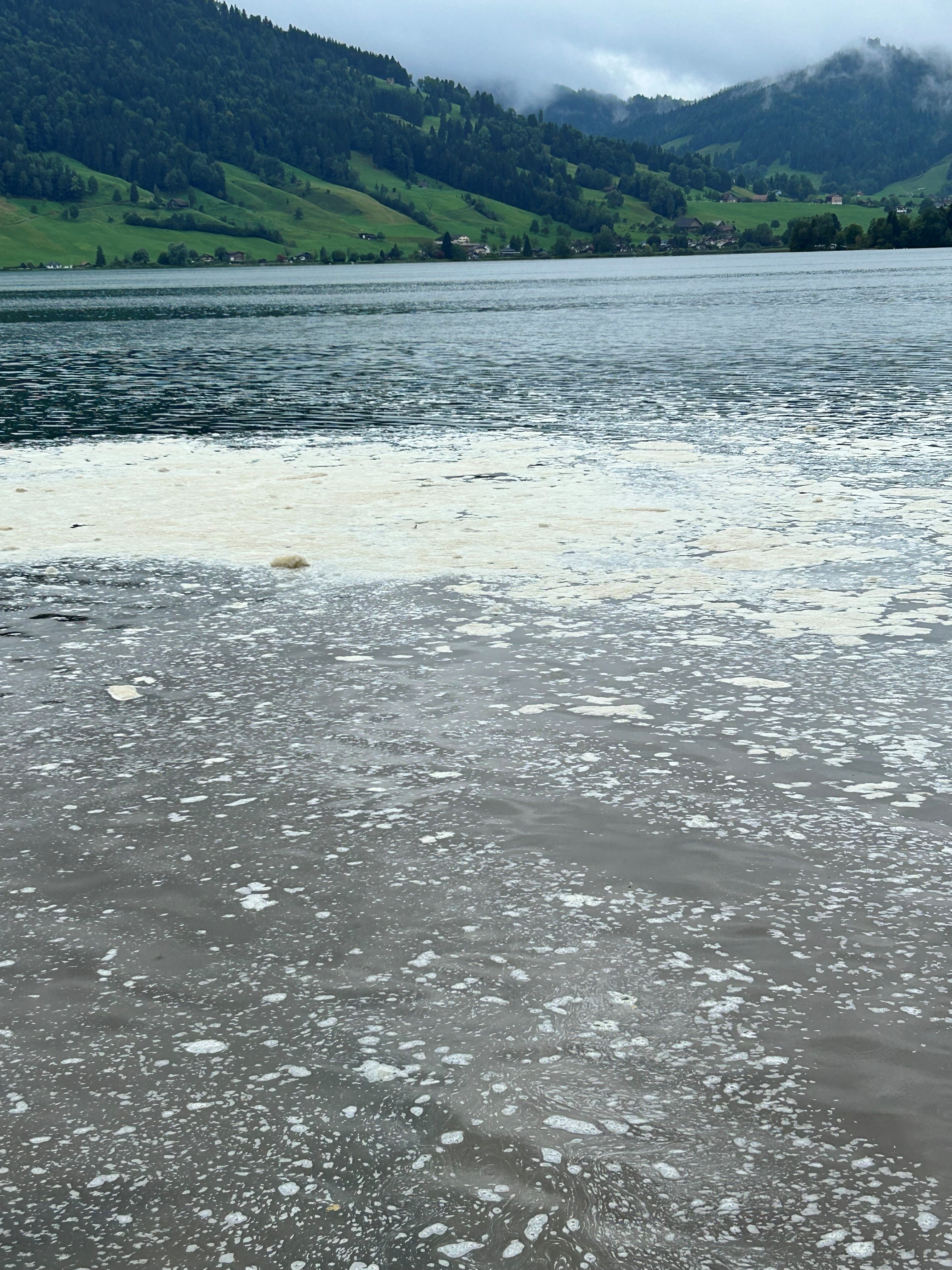 schaumbildung