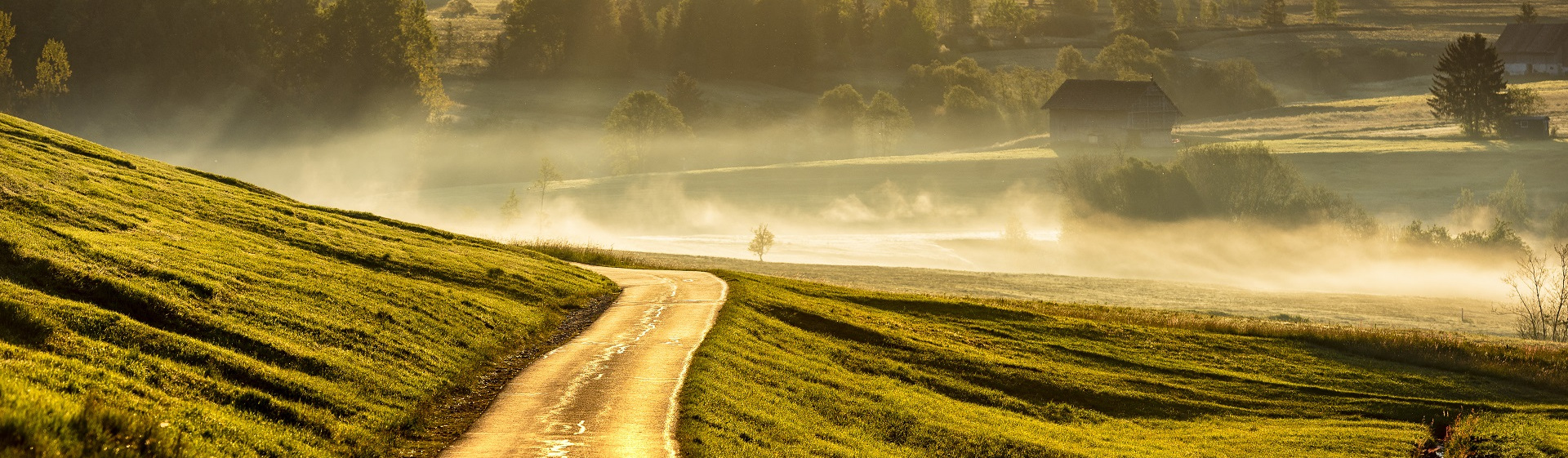 Hochmoor mit Nebel 