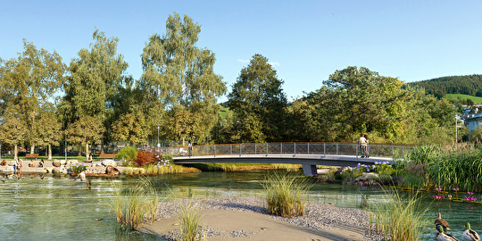 Visualisierung Birkenwäldli