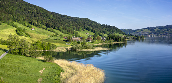 schilfgürtel
