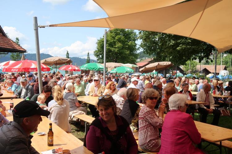 Sommermusik am See
