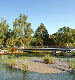 Visualisierung Birkenwäldli