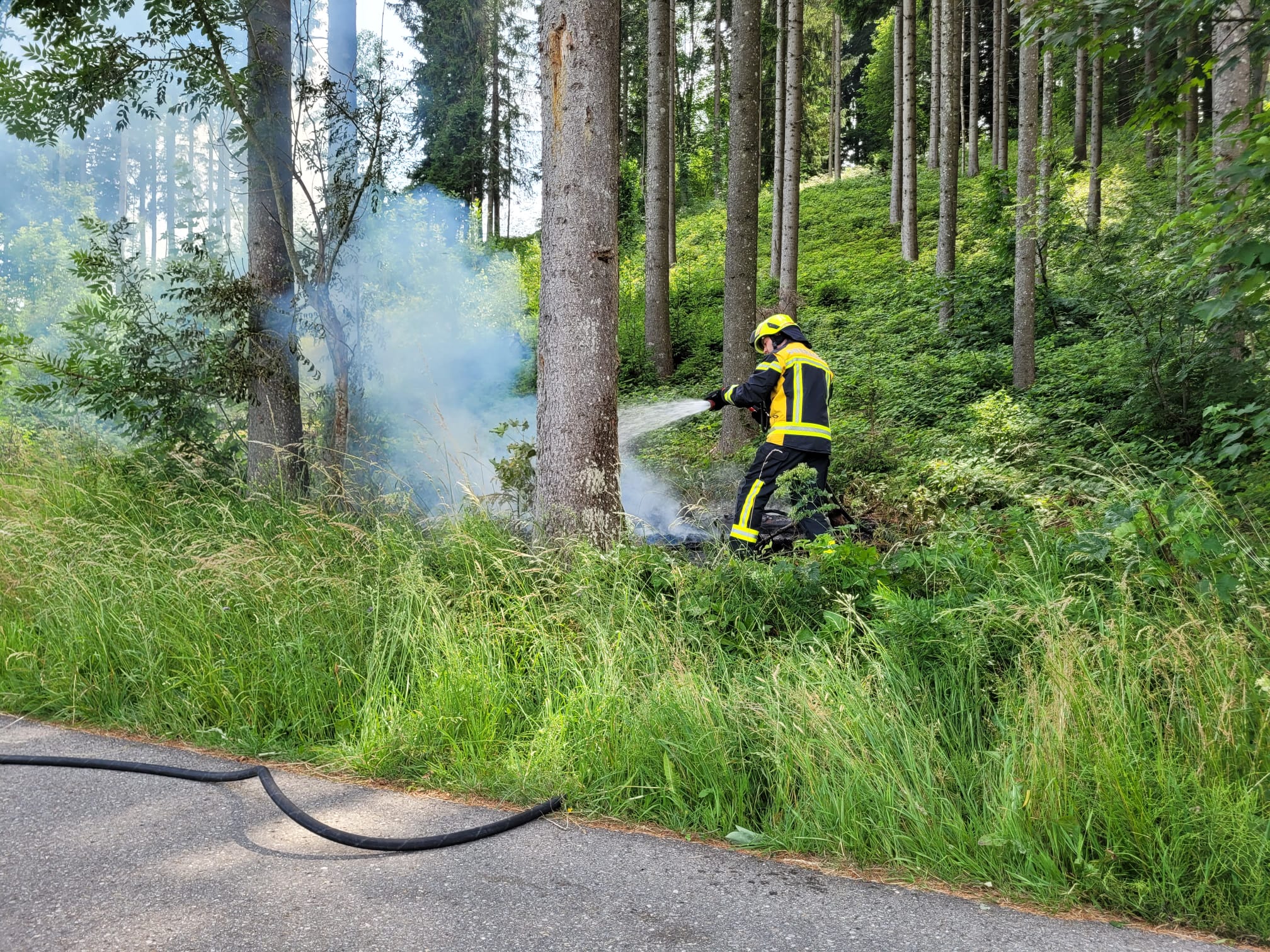 Brand Asthaufen2