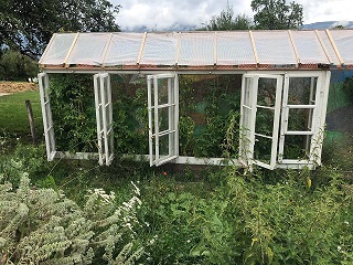 Tomatenhaus im Grünen