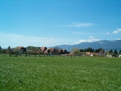 Nennigkofen in saftige Wiesen eingebettet.
