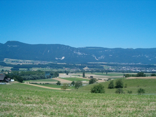 Blick aufs Aarefeld im Hochsommer