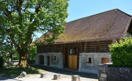 Ein Bild der Pfarrscheune Lüsslingen