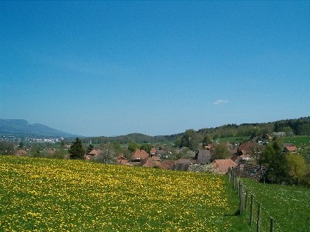 Sicht auf Nennigkofen mit Blumenwiese