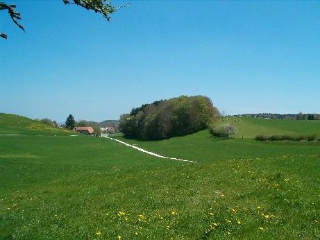 Diese Ansicht präsentiert sich allen, die von Leuzigen her auf der Bürenstrasse in den Ortsteil Nennigkofen fahren.