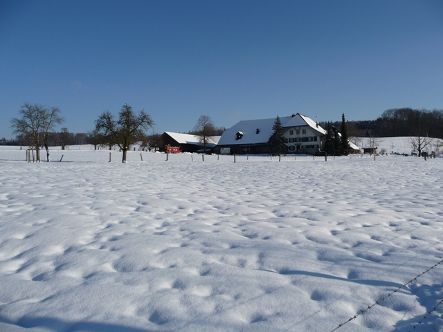 Der Mühlehof umgeben von Schnee.