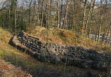 Burgruine Glanzenberg