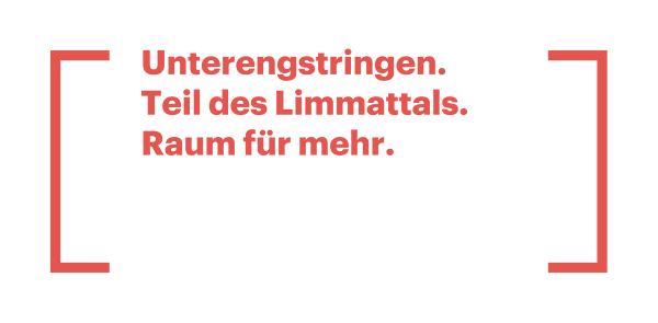 Logo Limmatstadt