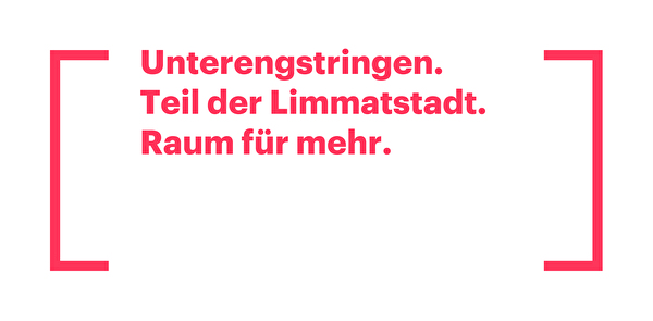 Bild Logo Limmatstadt