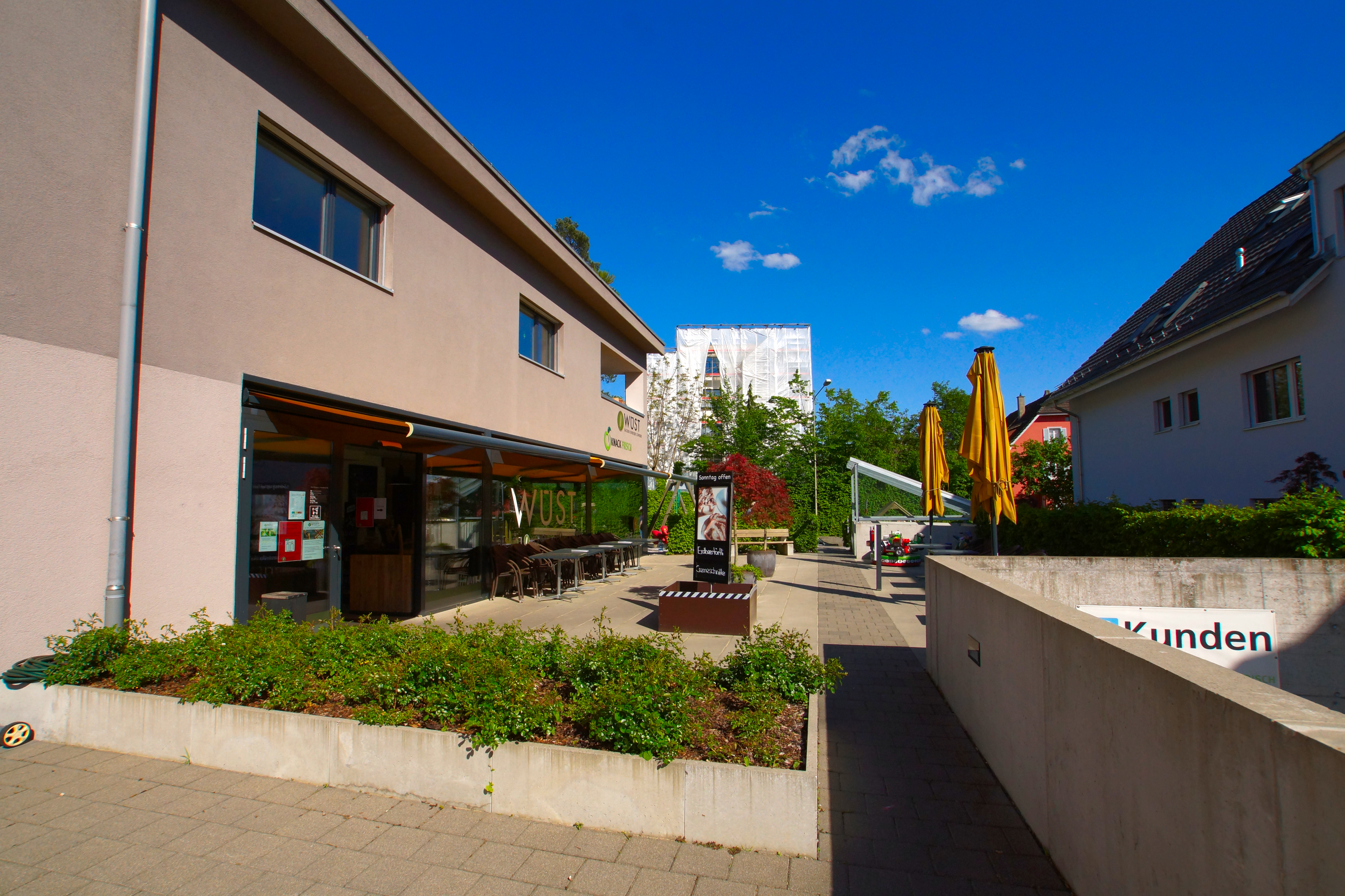 Bild Wüst