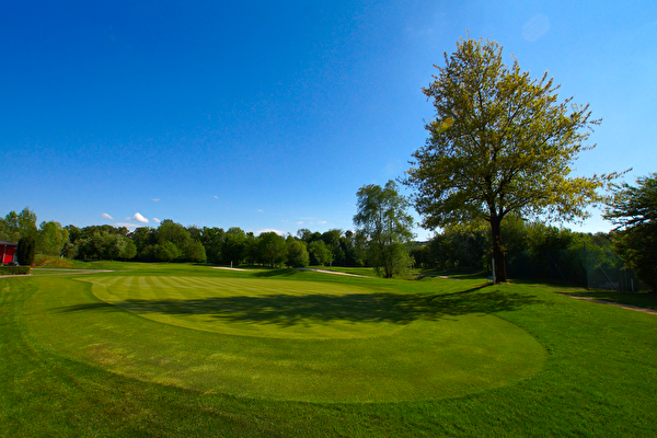 Bild Golfplatz