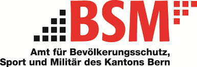 bsm