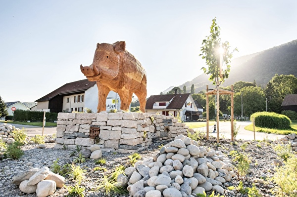 wildschwein