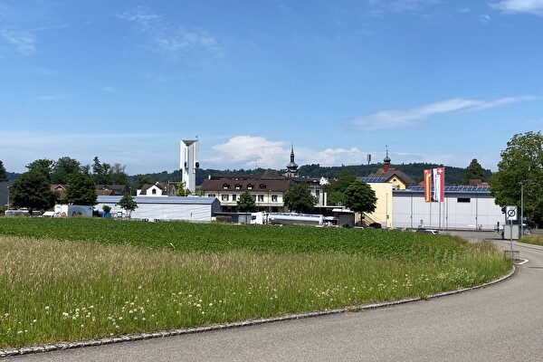 Geländeplan Biedermann