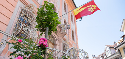 Bevölkerungsumfrage