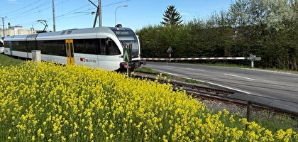 Verkehrsbehinderung