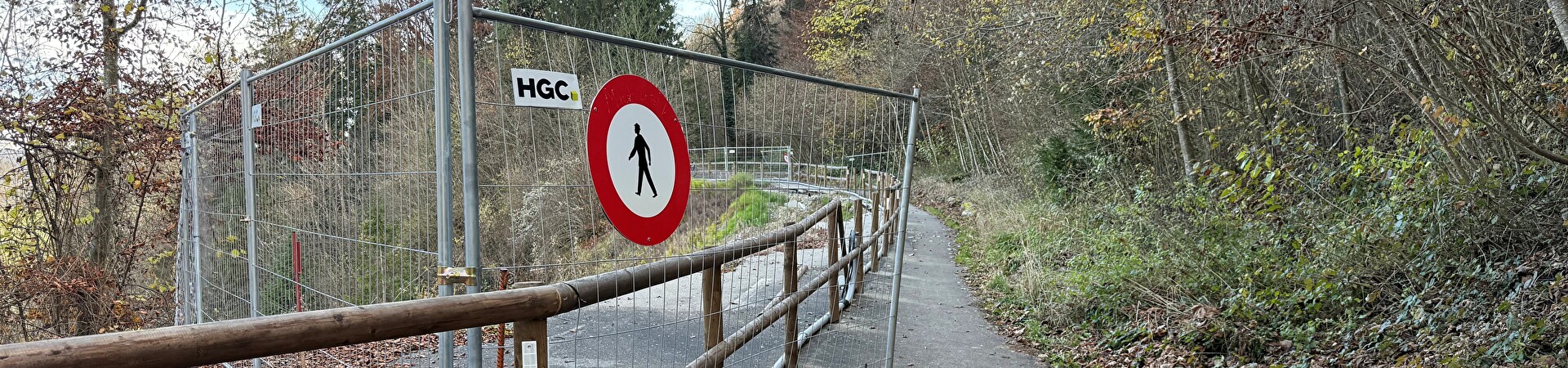 Haldenstrasse