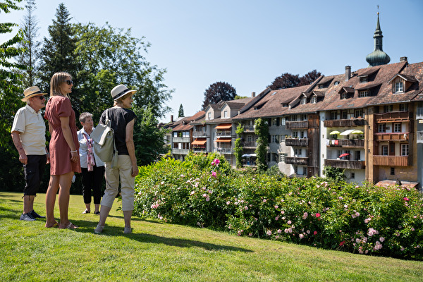 Ansicht Altstadthäuser